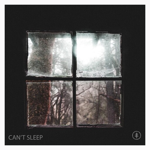 CAN'T SLEEP cover
