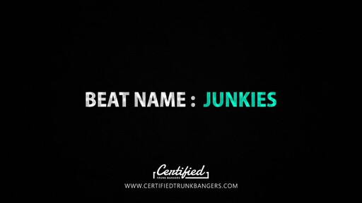 JUNKIES cover