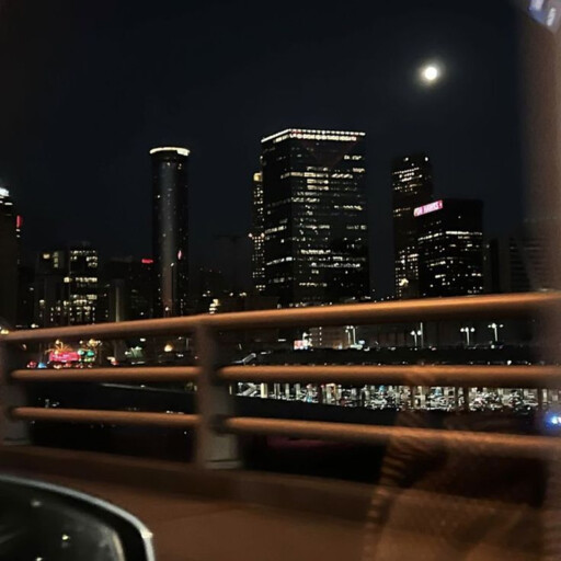 Single Payment cover