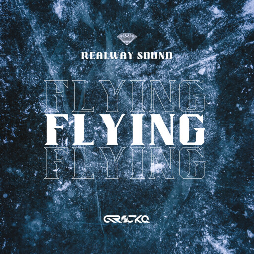 FLYING cover
