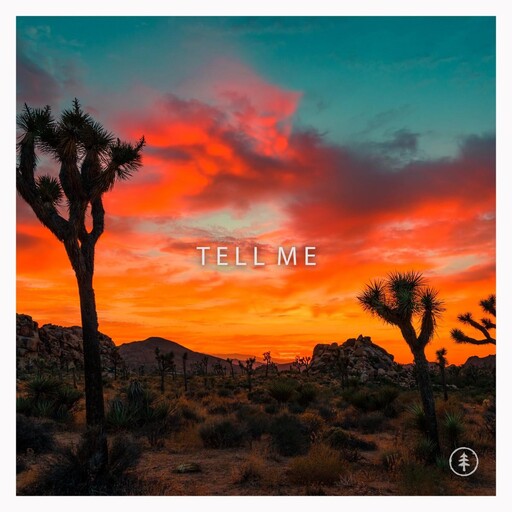 TELL ME cover