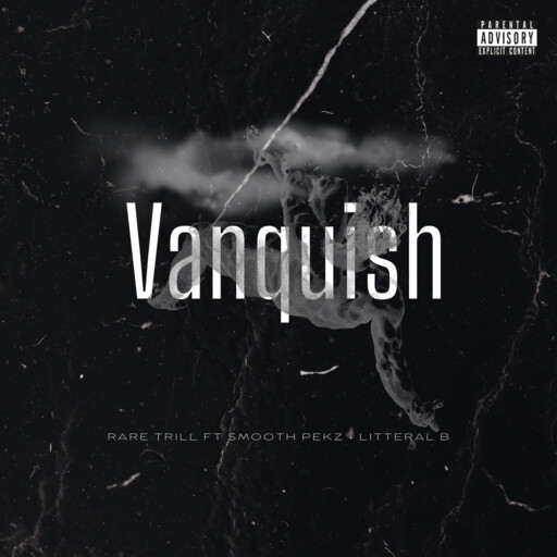 Vanquish cover